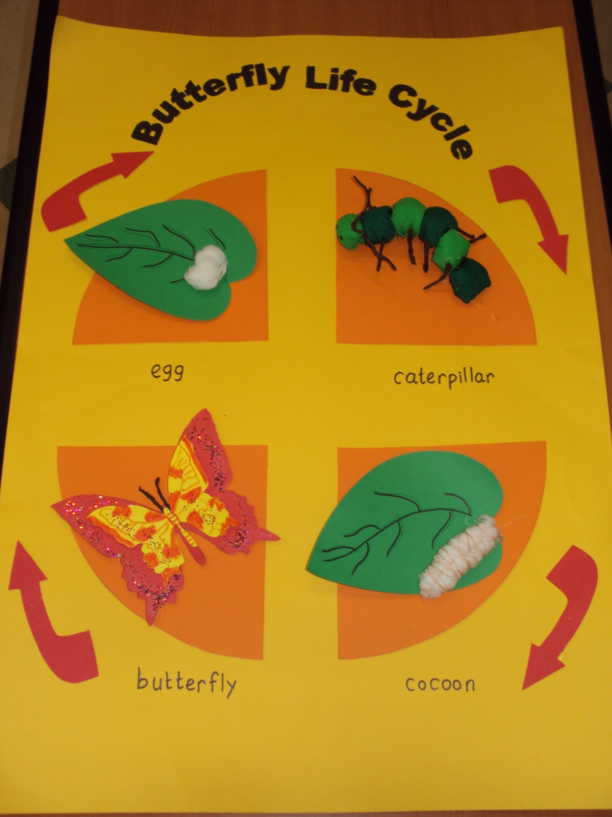 Helpful resources and ideas for you!: Bulletin board -Butterfly Life