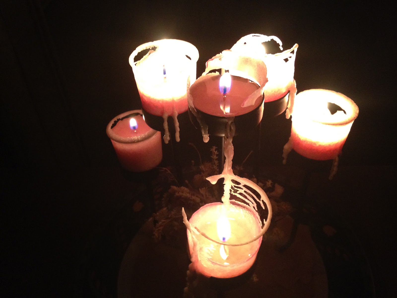 Morning Glory Modest Our Seder (Passover)