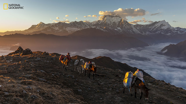 Διαγωνισμός φωτογραφίας National Geographic, Τοποθεσία: Thulo Odarkharka, Western Region, Nepal