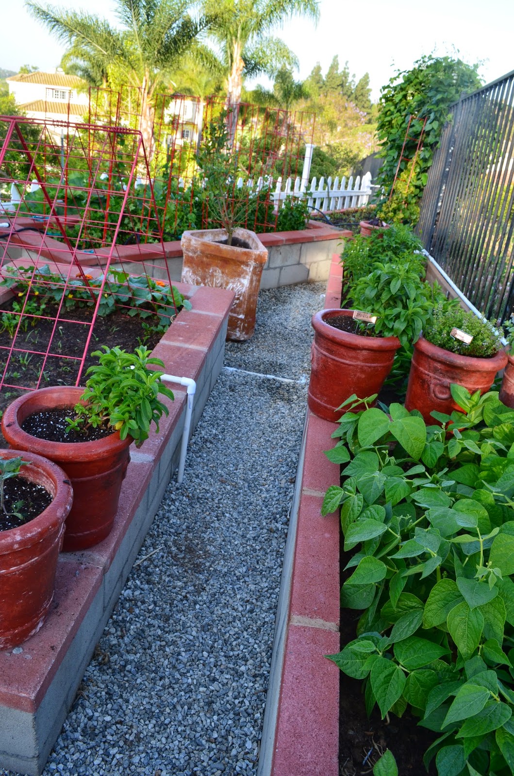 Entertaining From an Ethnic Indian Kitchen Garden tour 2 The kitchen garden