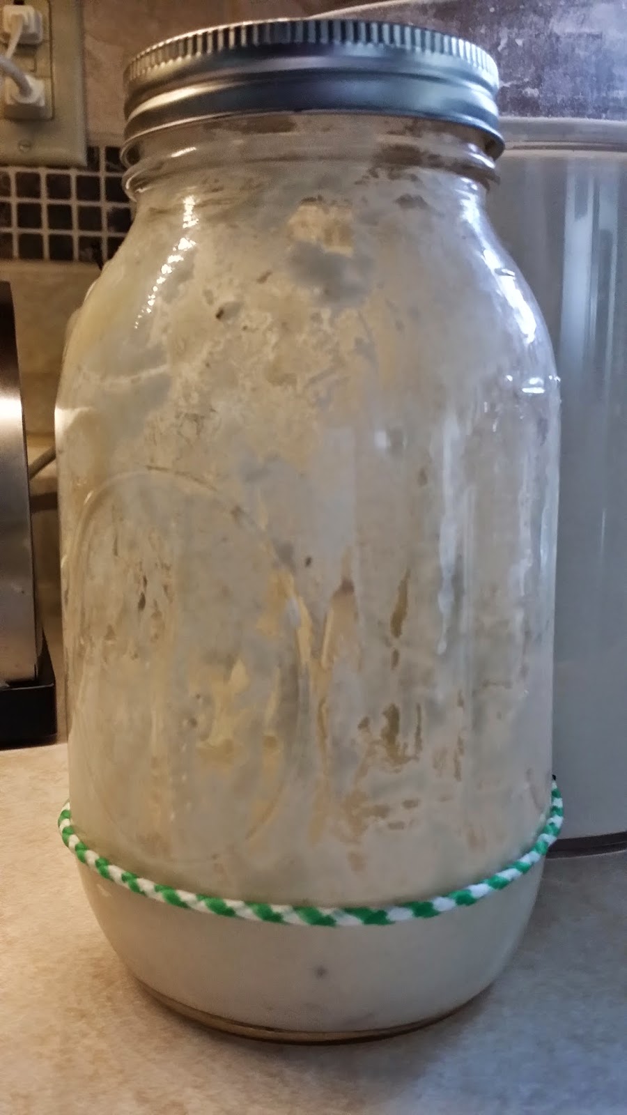 A lifetime supply of FREE yeast!! How to feed your yeast starter