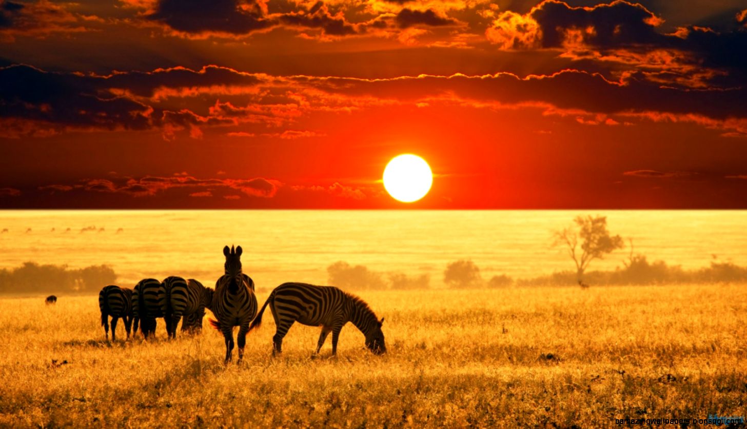 » Africa Fun Facts and Statistics » Africa Fun Facts and Statistics