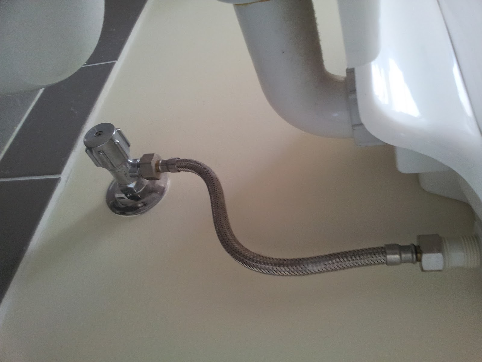 Oppa noobie style (õ_ó) My toilet's flushing system is hissing...