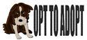 Opt To Adopt