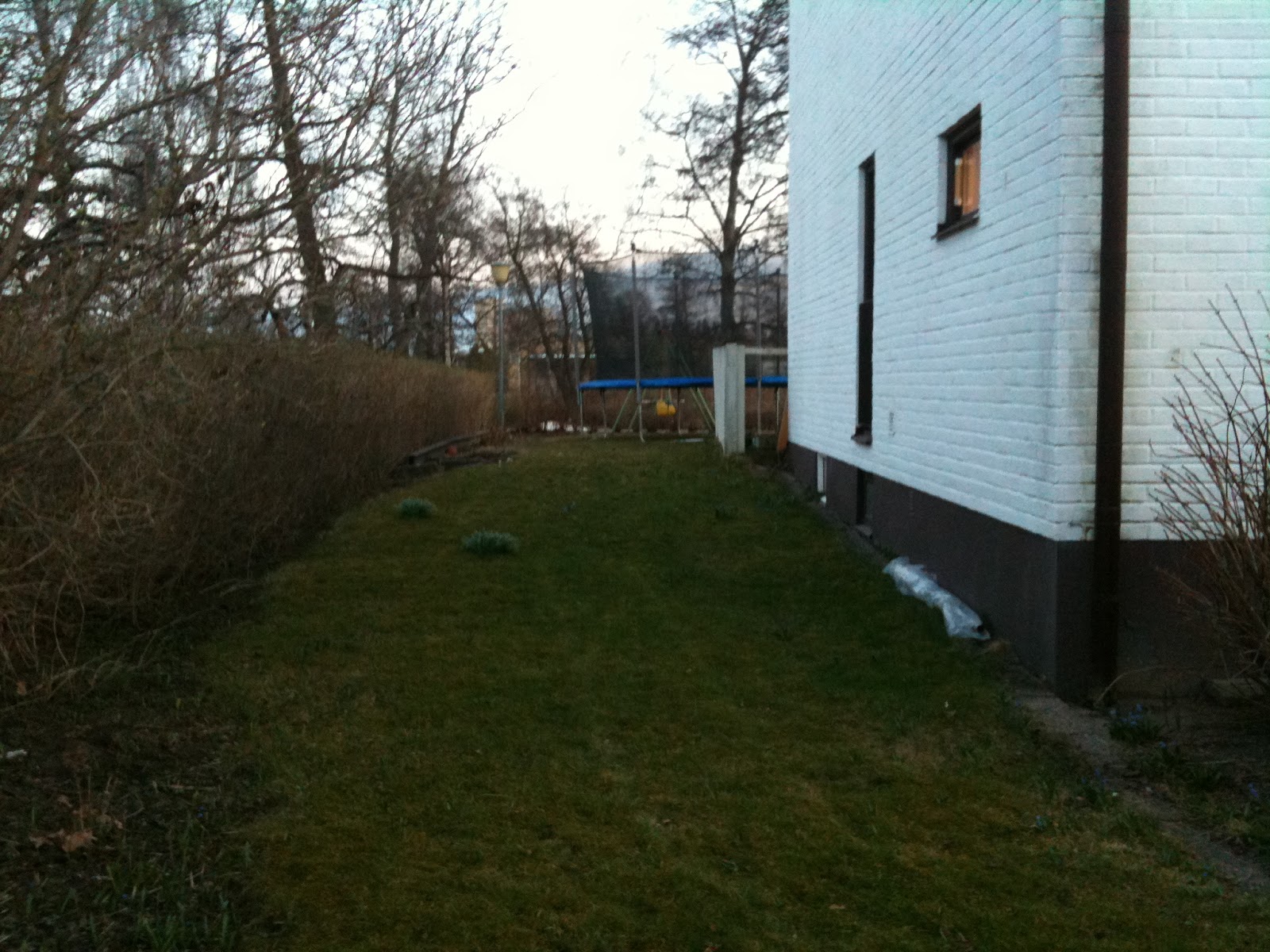 Trädgårdsdags: april 2012