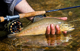 Fly Fish Idaho: Flyfishing Flies; Fishing Flys; Flies Fishing: Fly Fishing; Fly Fishing Equipment; Fishing Flies; Fishing Gear; Trout Flies; Salmon Flies; Fly Fishing Idaho; Flies for Sale; Idaho Fly Fishing