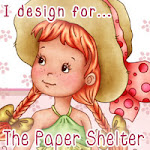 Proud to be Chosen for The Paper Shelter Challenge Blog