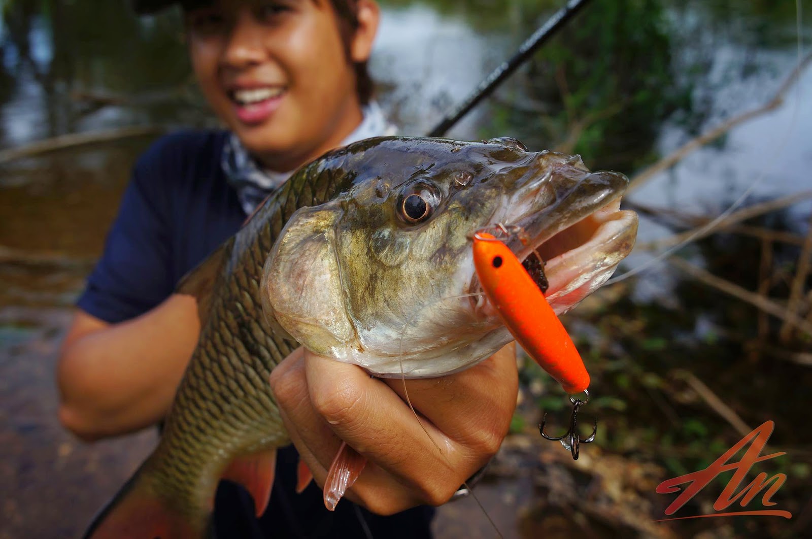 Sinking Teak Pencil An Lure (Hampala Barb) BigTackleBox
