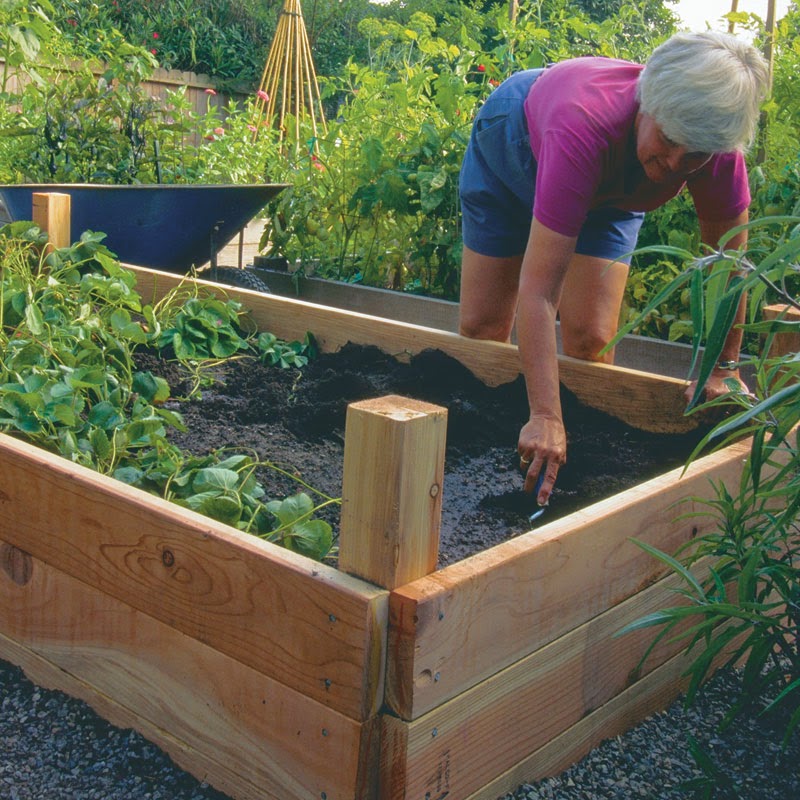 10 Inspiring DIY Raised Garden Bed Ideas Do it yourself ideas and projects