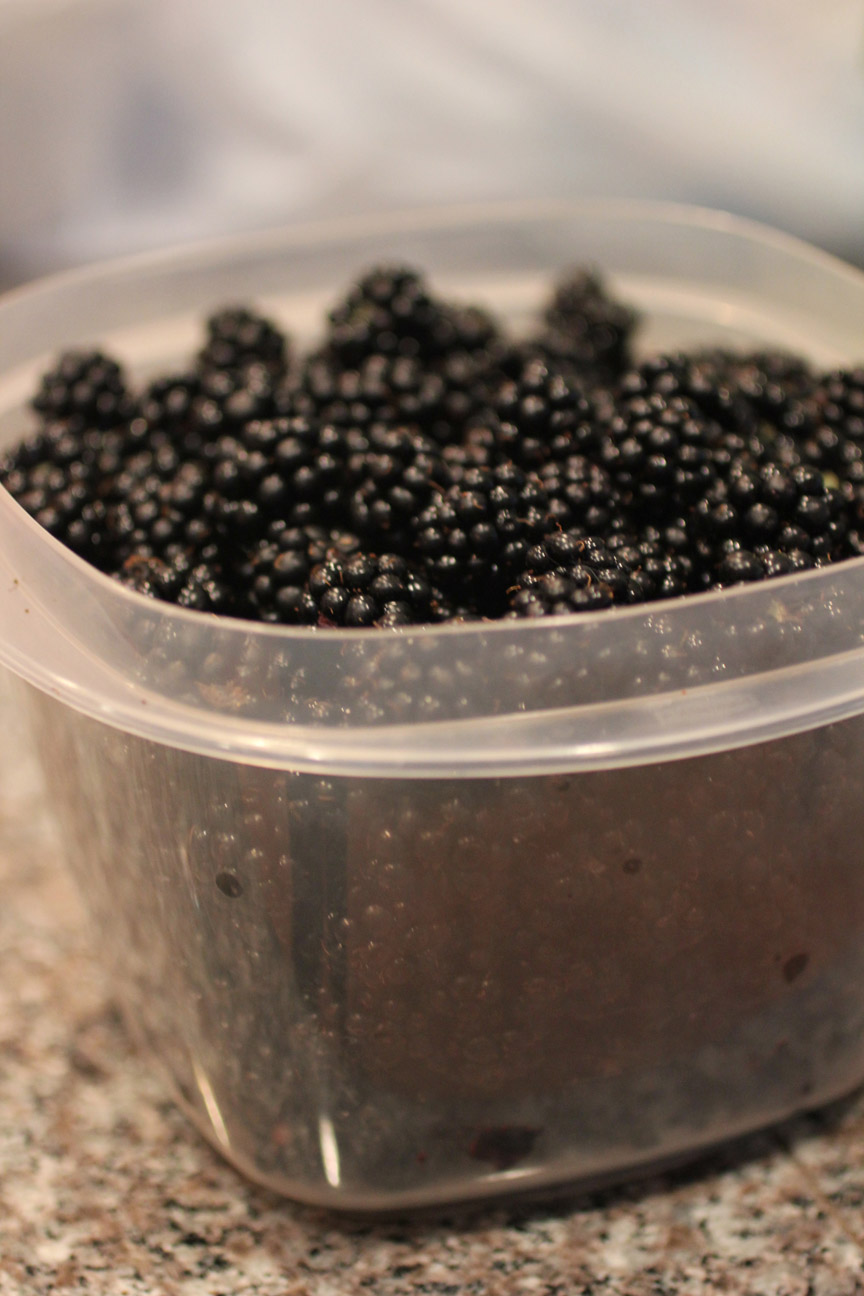 Crock Pot Blackberry Jam Repeat Crafter Me