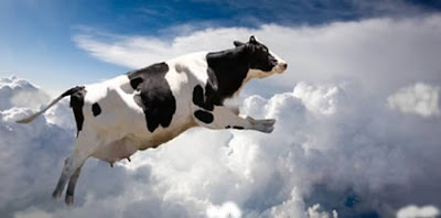 Cow that fell from the sky Cow that fell from the sky