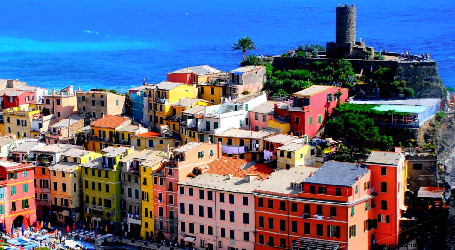 zedge wallpapers zedge iphone wallpapers free zedge wallpapers hot car zedge wallpapers zedge iphone wallpapers free zedge wallpapers hot car