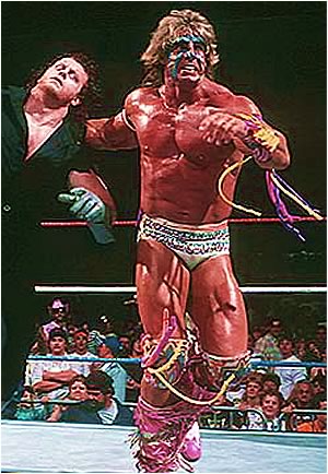 WWF WRESTLERS wwf wrestlers: