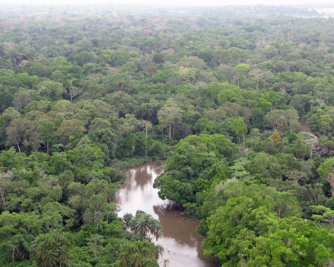 Sancara Blog sull'Africa Parco Nazionale Odzala