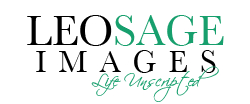 LeoSage Images - Michigan's Wedding and Lifestyle Photographer