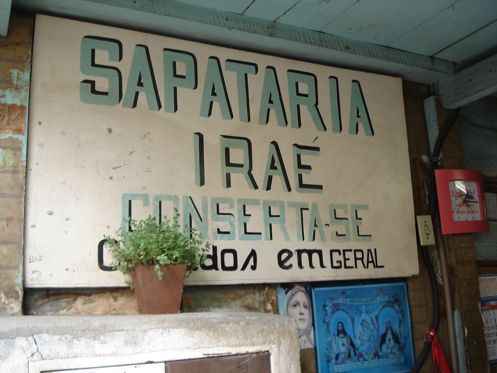 sapataria moema