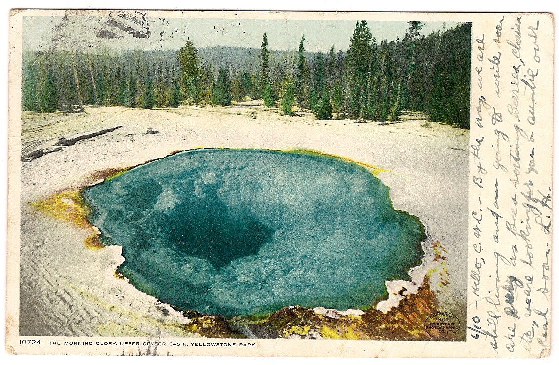 Judy's Postcards Plus Vintage Postcard Morning Glory Pool Yellowstone