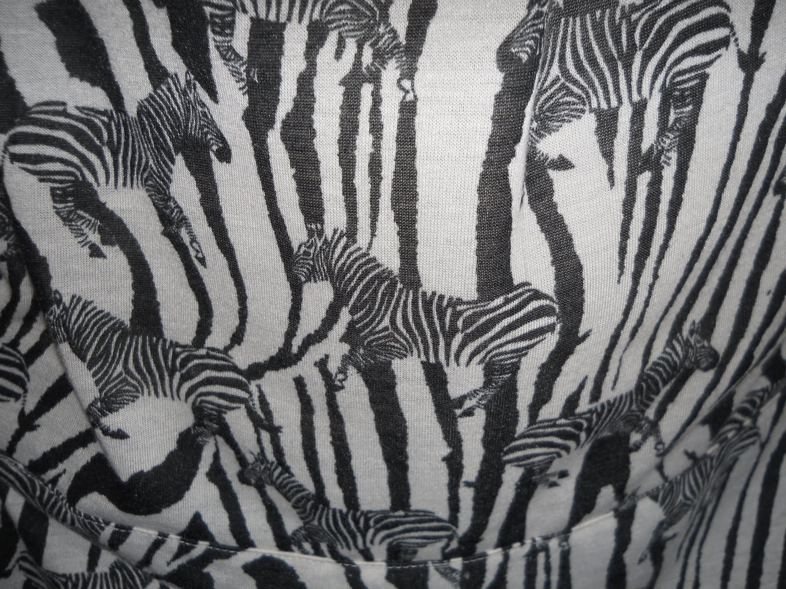 Adventures in Refashioning Daily Outfit ZebraPrint Zebras