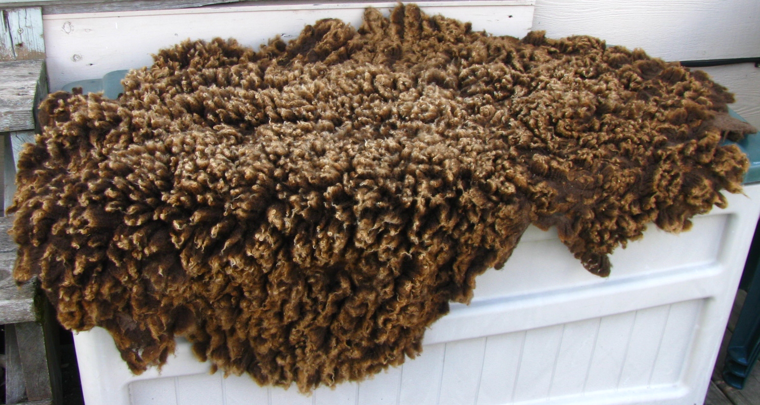 Becky Utecht Felt & Fiber A Felted Fleece