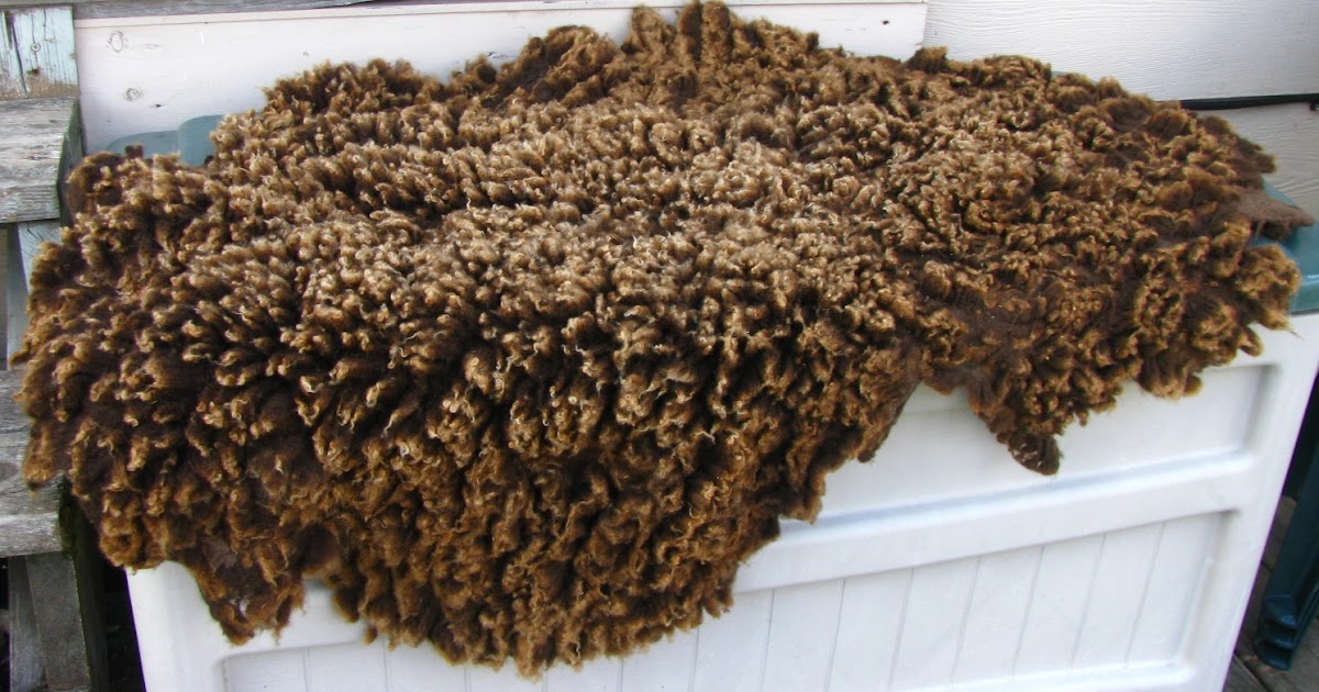 Becky Utecht Felt & Fiber A Felted Fleece