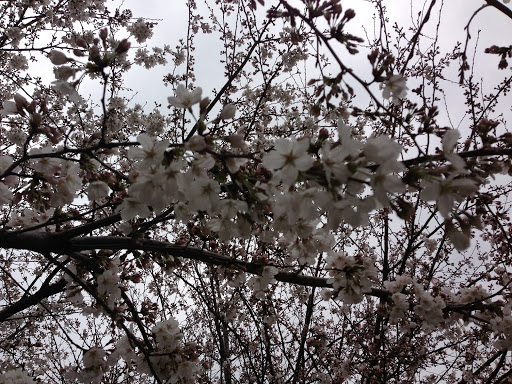 20130609-IMG_0094.jpg