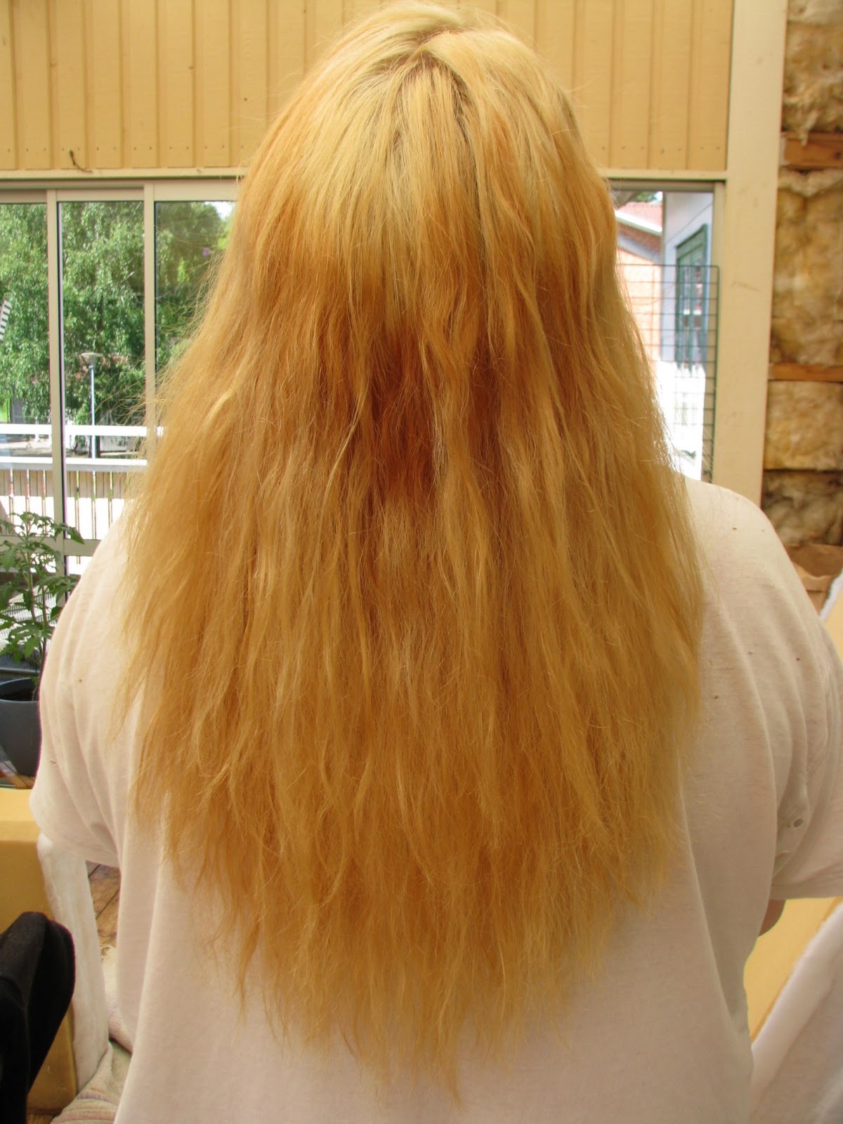 Winters Moon My Hair After Bleach Henna