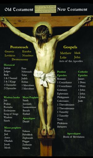 Homework books ks2 of the bible
