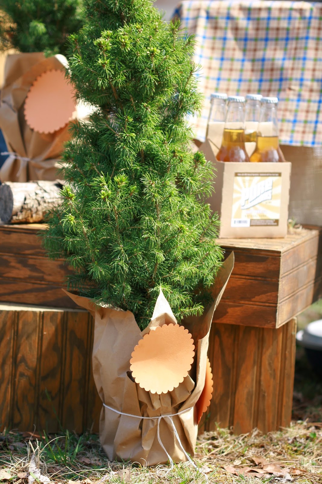 The Cone Zone Camp Asher Birthday Bash!