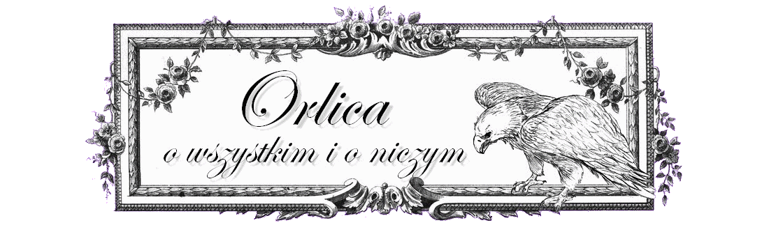 Orlica o wszystkim i o niczym