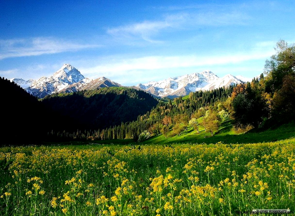 Free Wallpaper Free Nature wallpaper Collection Scenery 5 Free Wallpaper Free Nature wallpaper Collection Scenery 5