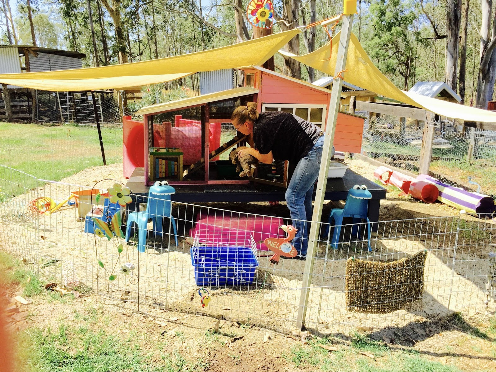 DIG PROOF RABBIT DAY PEN AND HUTCH WITH OPEN DOOR Rabbit Rescue Sanctuary