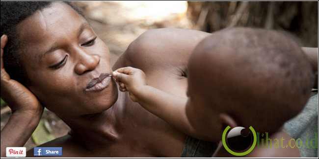 Suku Aka, Afrika Tengah Suku Aka, Afrika Tengah