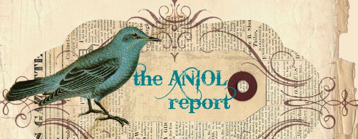 The Aniol Report
