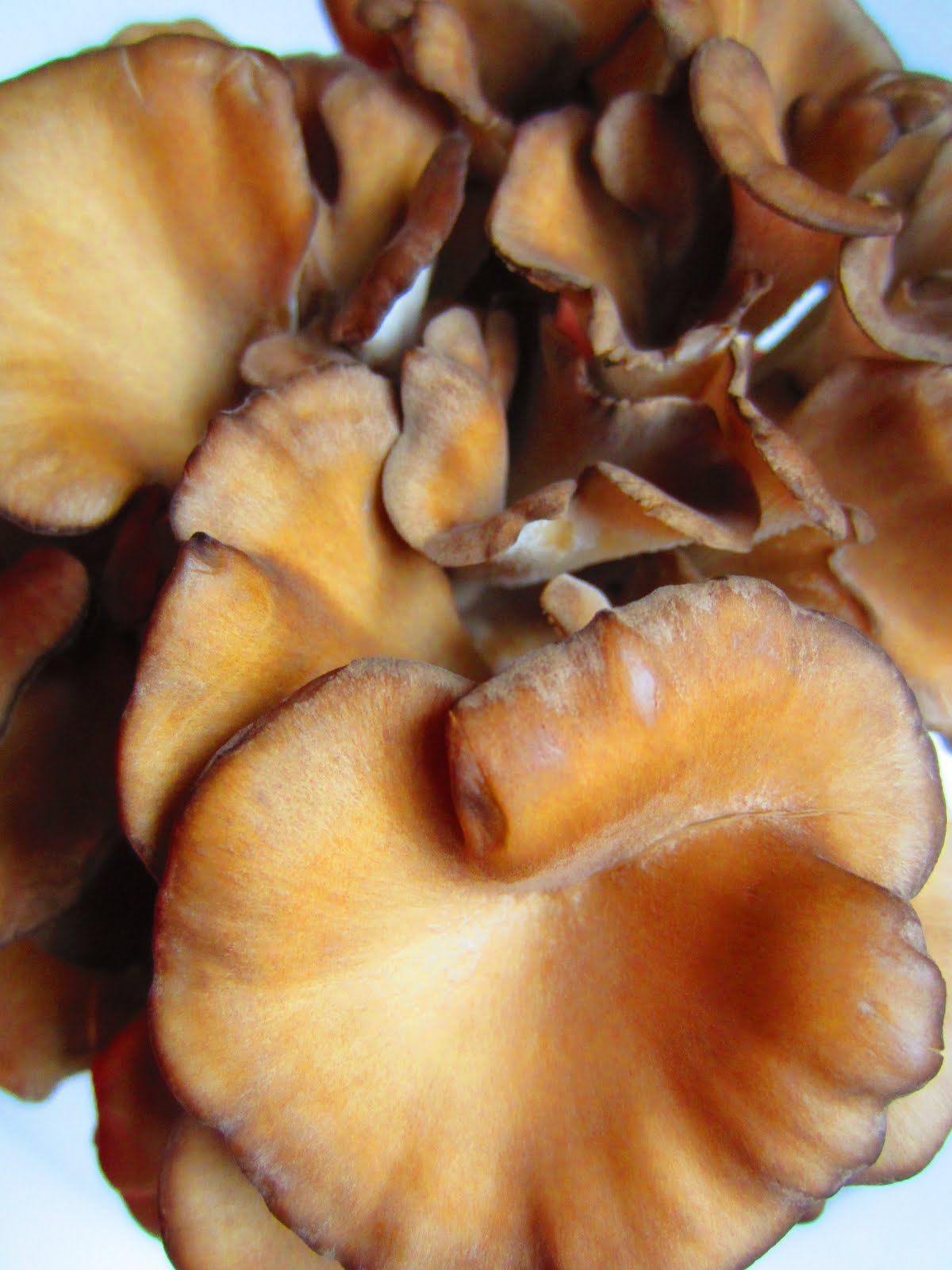 RAW Food for Truth Miso Soup Got Spiced Up