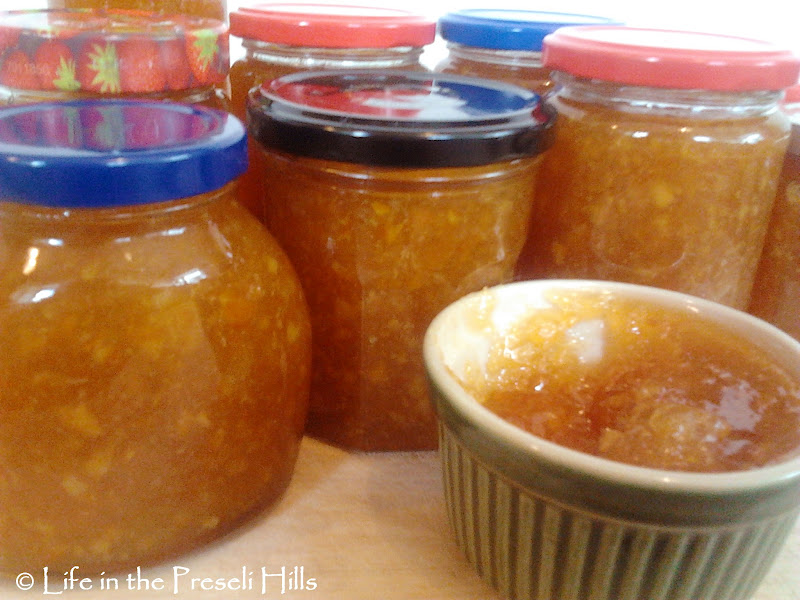 Life in the Preseli Hills The busy woman's guide to marmalade making