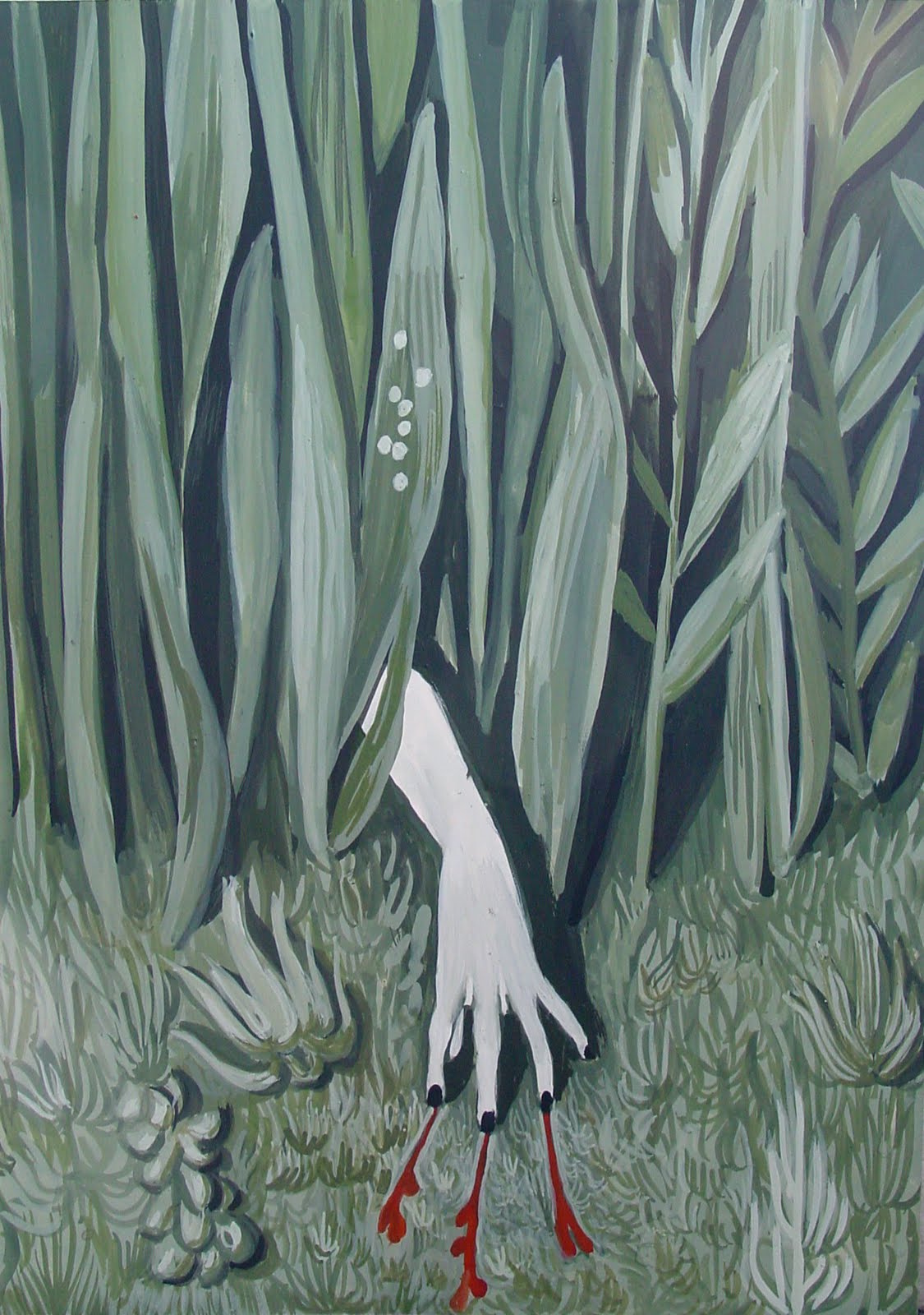 Aleksandra Waliszewska