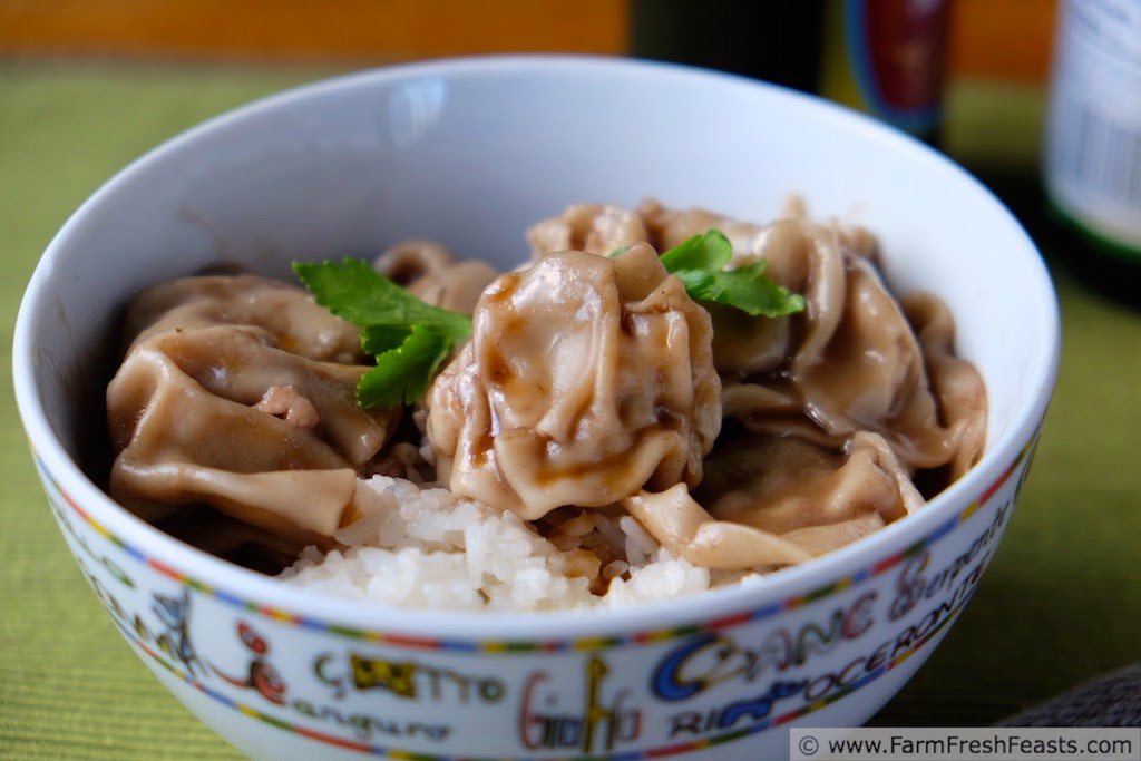 Farm Fresh Feasts Pork & Leek Dumplings