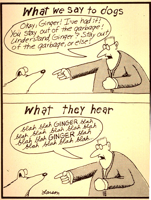 Snow. Snow? Snow! Snow*