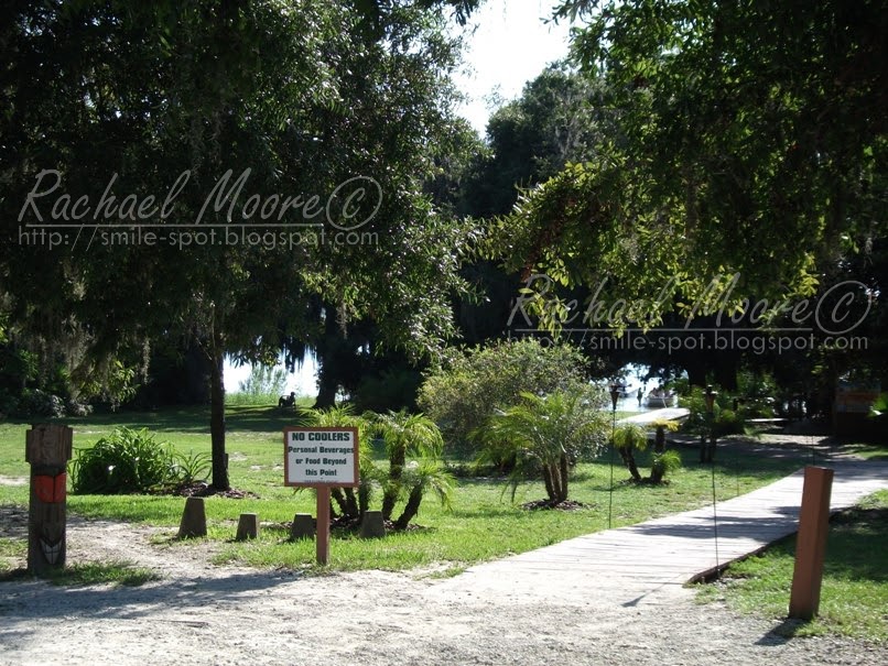 The Smile Spot ) Around Town The Tiki Bar on Lake Minneola