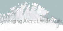 Emerging Arctic Landscapes