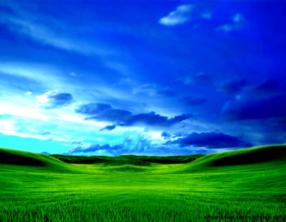 Green Grass Wallpaper Landscape photos of Simple Tips to Gain the Green Grass Wallpaper Landscape photos of Simple Tips to Gain the