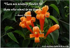 Free Wallpaper Dekstop: Quotes on flowers, quotes about flowers