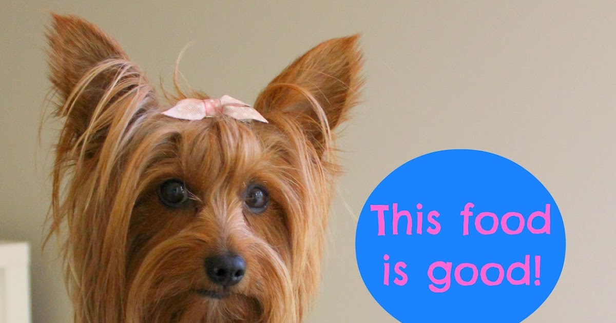 Natural Abundance Dog Food Natural Abundance Dog Food