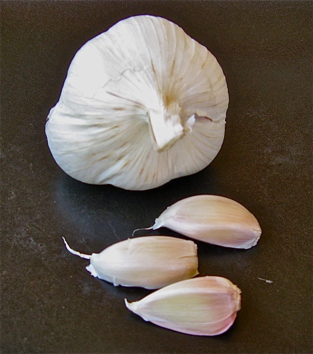 The Outlander Plant Guide Garlic a Food, a Medicine, an Aphrodisiac?!