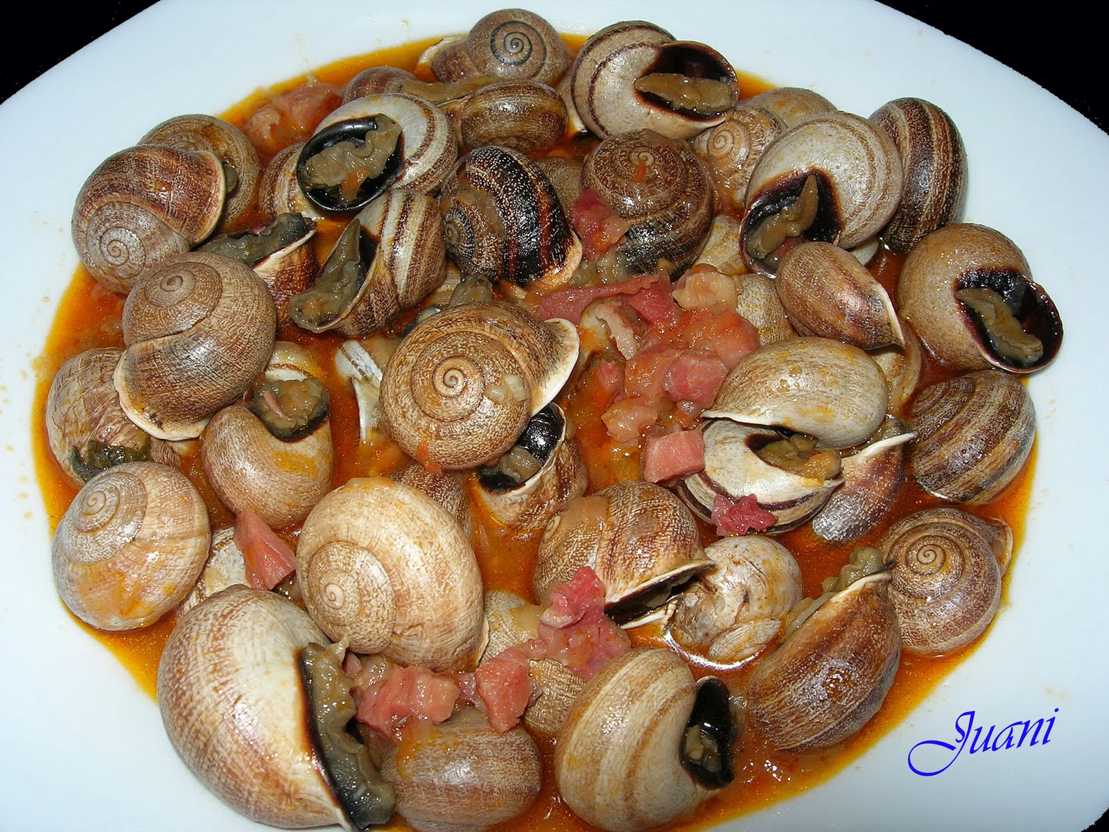 ¿cuchara o tenedor?: CARACOLES EN SALSA