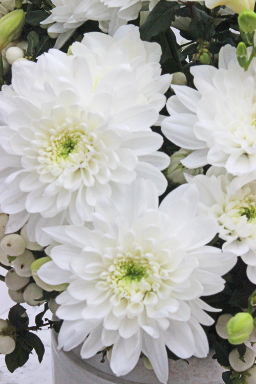 ...OF SPRING AND SUMMER... DoItYourself Flower Tips and Inspiration