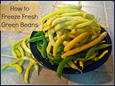 greneaux gardens how to freeze fresh green beans greneaux gardens how to freeze fresh green beans