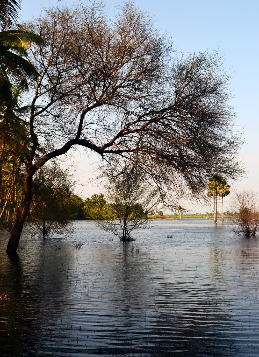Nostalgic Kerala On the way PalakkadMeenakshipuram