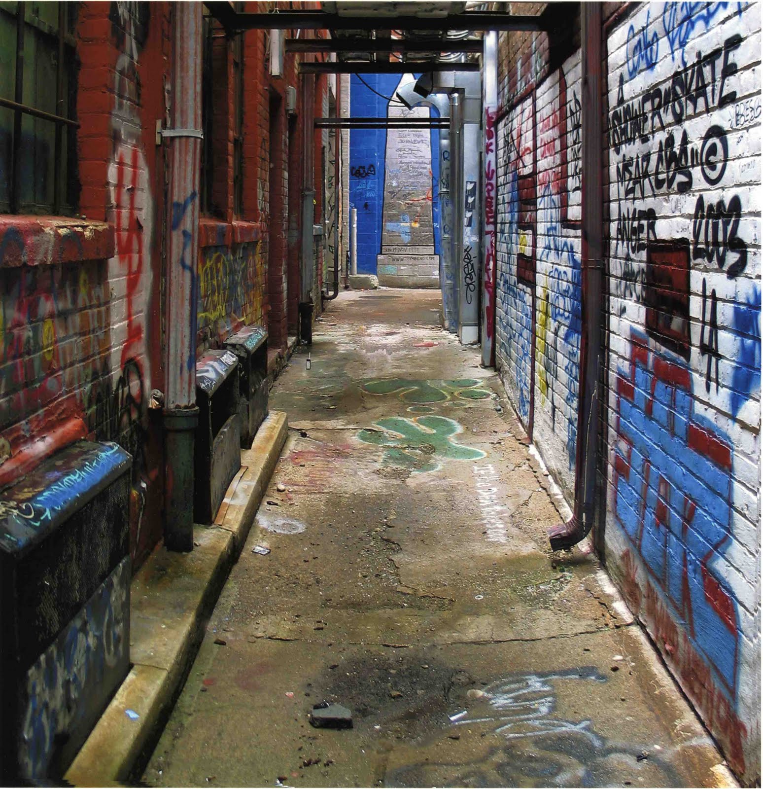 paradise dating show