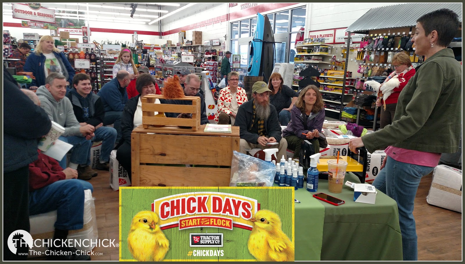 Flock Focus Friday 4 22 16 Spring Happenings The Chicken Chick